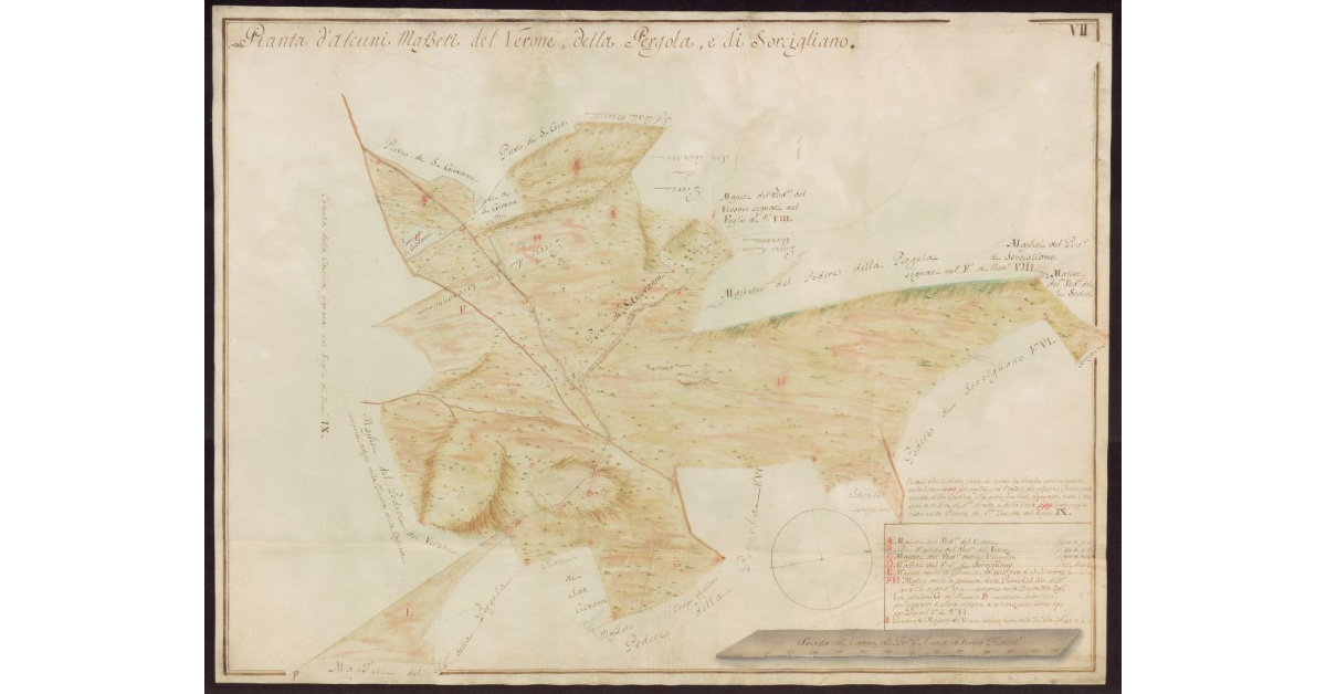 Pianta d'alcuni masseti [dei Poderi] del Verone, della Pergola e di Sorcigliano