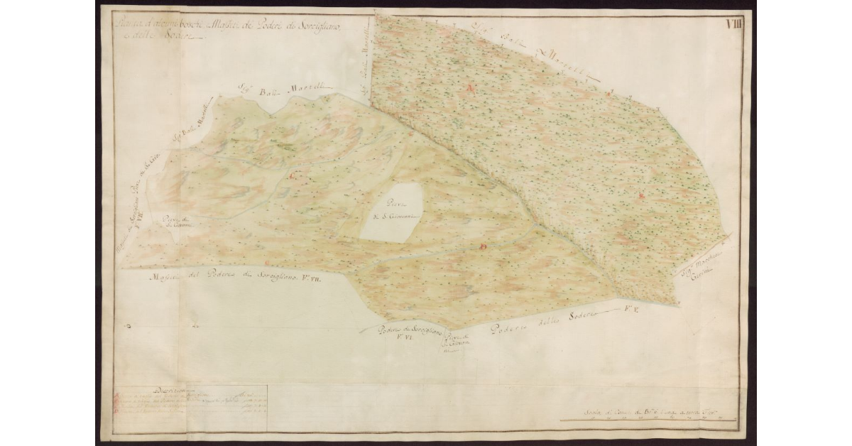 Pianta d'alcuni boschi e masseti de Poderi di Sorcigliano e delle Sodere
