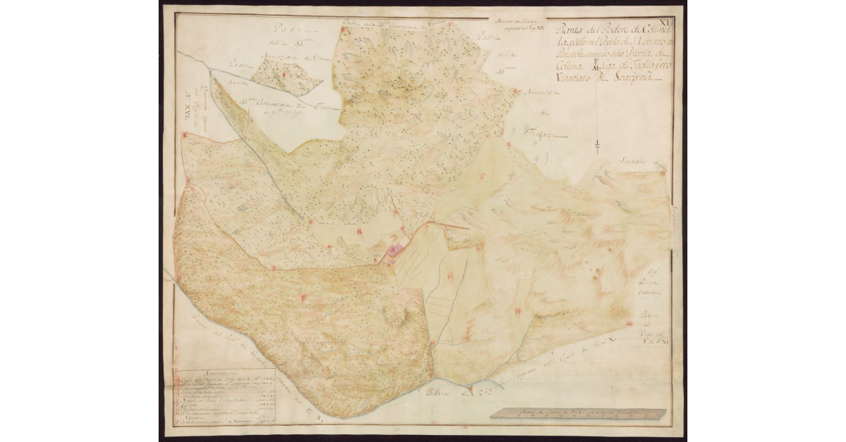 Pianta del Podere di Collinella posto nel Popolo di S. Lorenzo a Pezzatole annesso alla Prioria di Collina Lega di Tagliaferro Vicariato di Scarperia