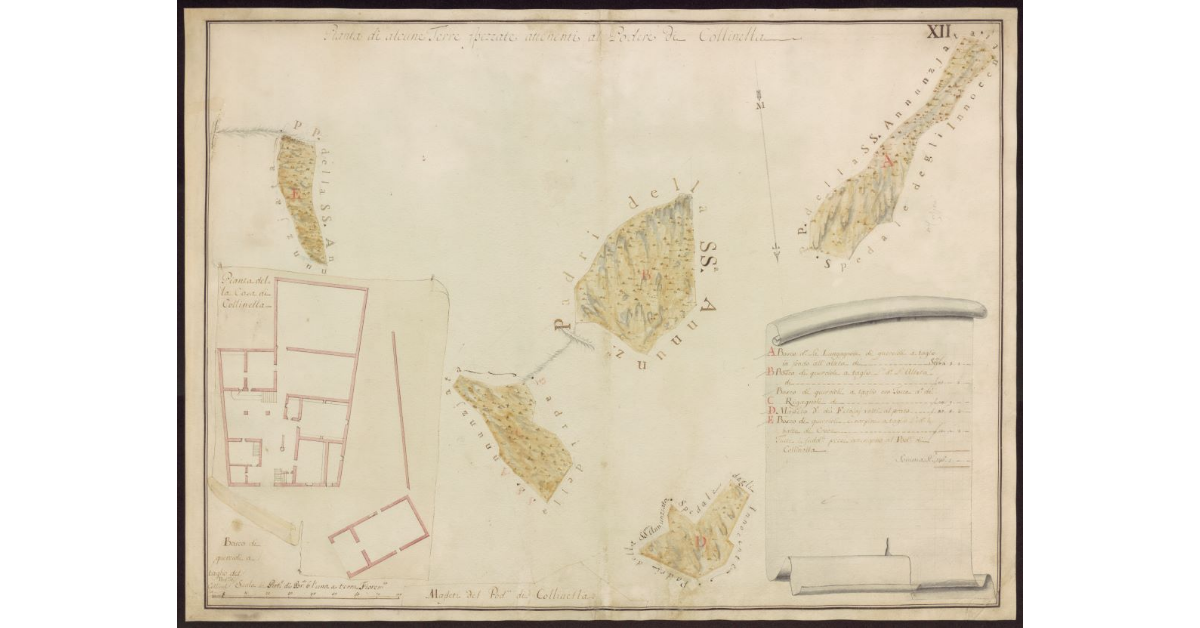 Masseti del Podere di Collinella