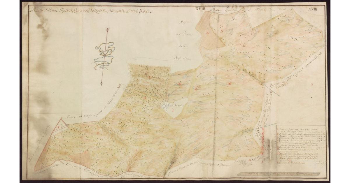 Pianta d'alcuni masseti, querceti, tozzeti, ecc. attenenti a vari poderi [del Mugello]