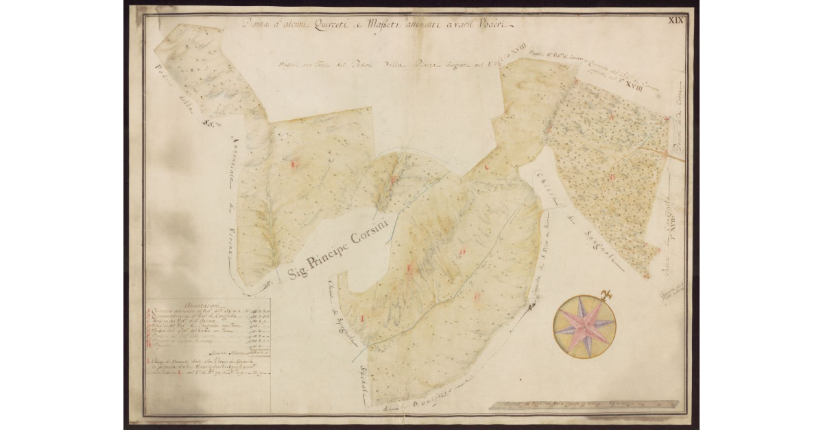 Pianta d'alcuni querceti, e masseti attenenti a varii poderi [del Mugello]