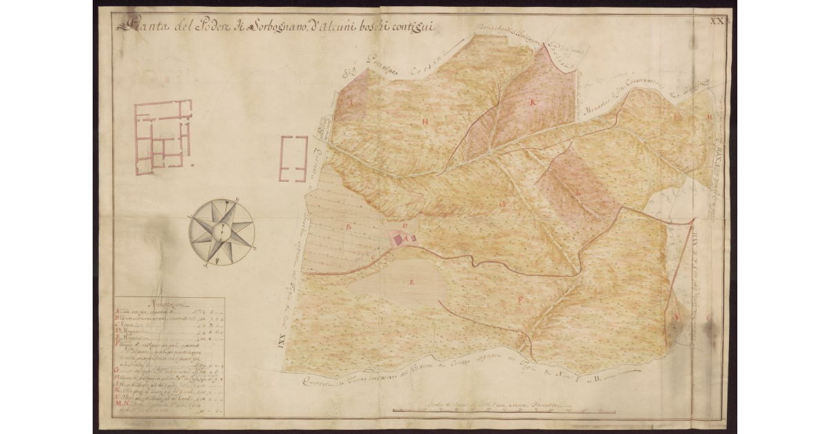 Pianta del Podere di Sorbognano [e] d'alcuni boschi contigui