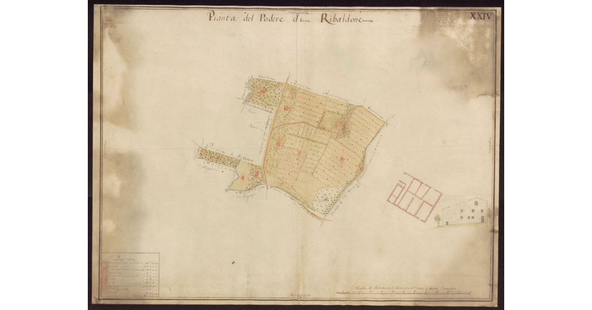 Pianta del Podere di Ribaldone