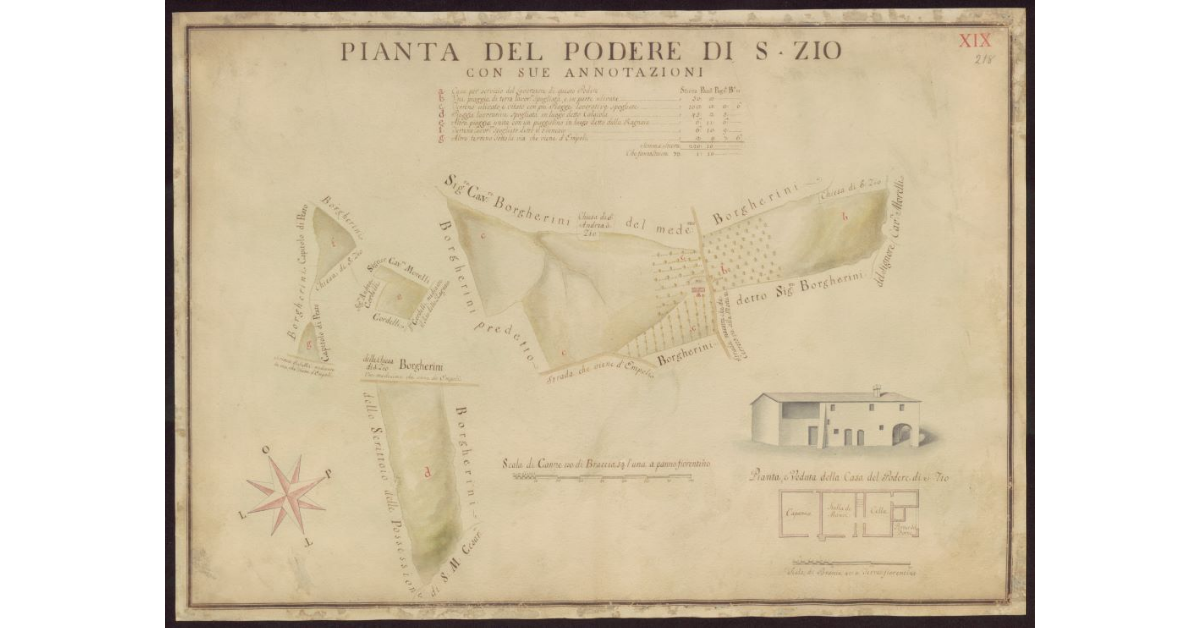 Pianta del Podere di S. Zio