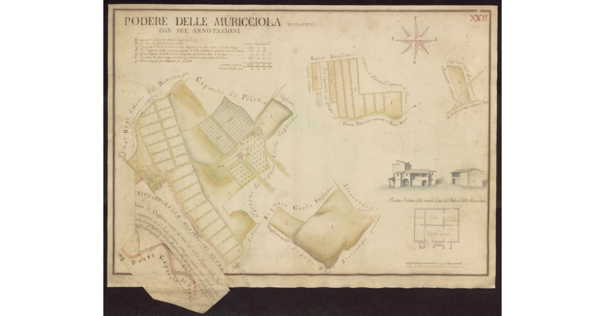 Podere delle Muricciola