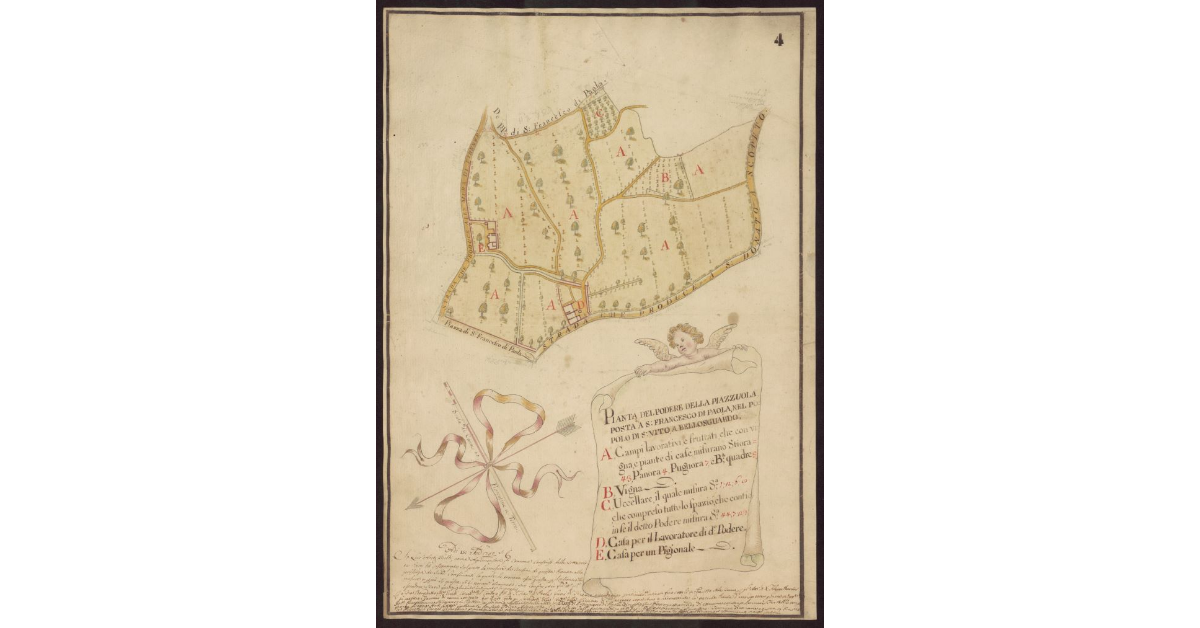 Pianta del Podere della Piazzuola posta a S. Francesco di Paola, nel Popolo di S. Vito a Bellosguardo