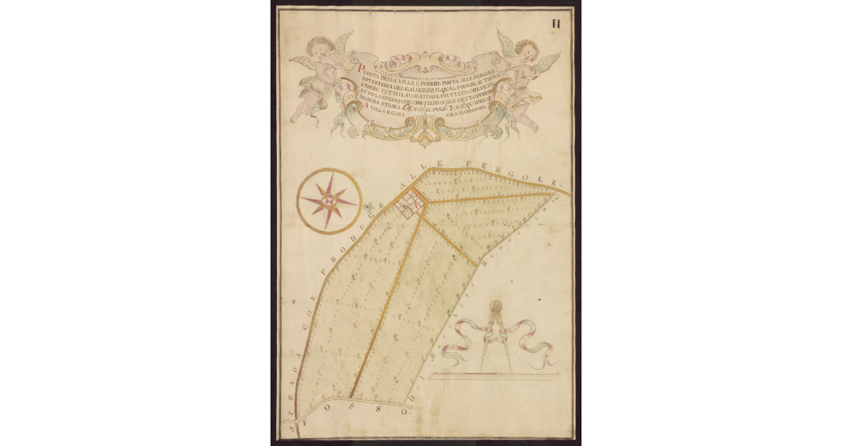 Pianta della villa e Podere posta alle Pergole [Popolo di S. Ilario a Colombaia], Potesteria del Galluzzo