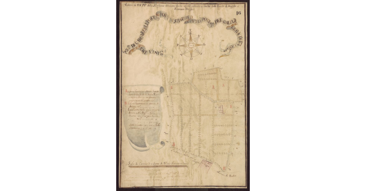 Pianta del Podere di Carcarelli posto nel Popolo di S. Bartolo in Tuto Potesteria del Galluzzo