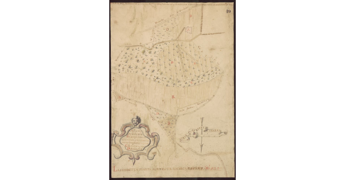 Pianta del Podere di Luciano posto nel Popolo di S. Lorenzo a Vigliano Potesteria di Barberino di Vald'Elsa