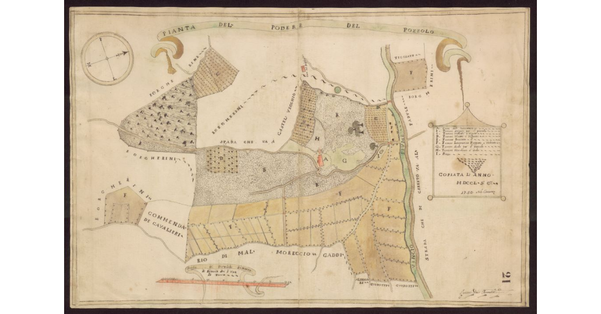 Pianta del Podere del Pozzolo