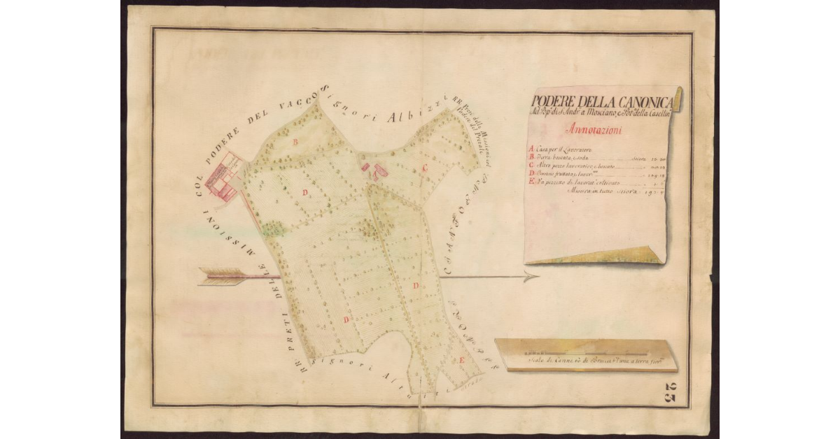 Podere della canonica nel Popolo di S. Andrea a Mosciano, e Potesteria della Casellina