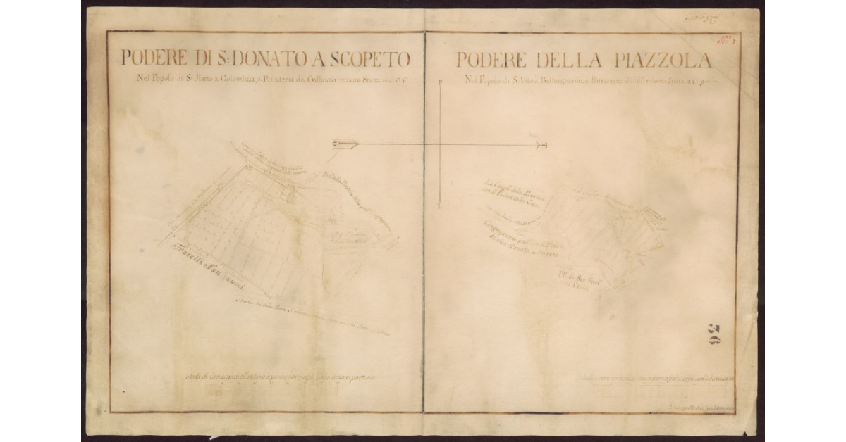 Podere di S. Donato a Scopeto [e] Podere della Piazzola