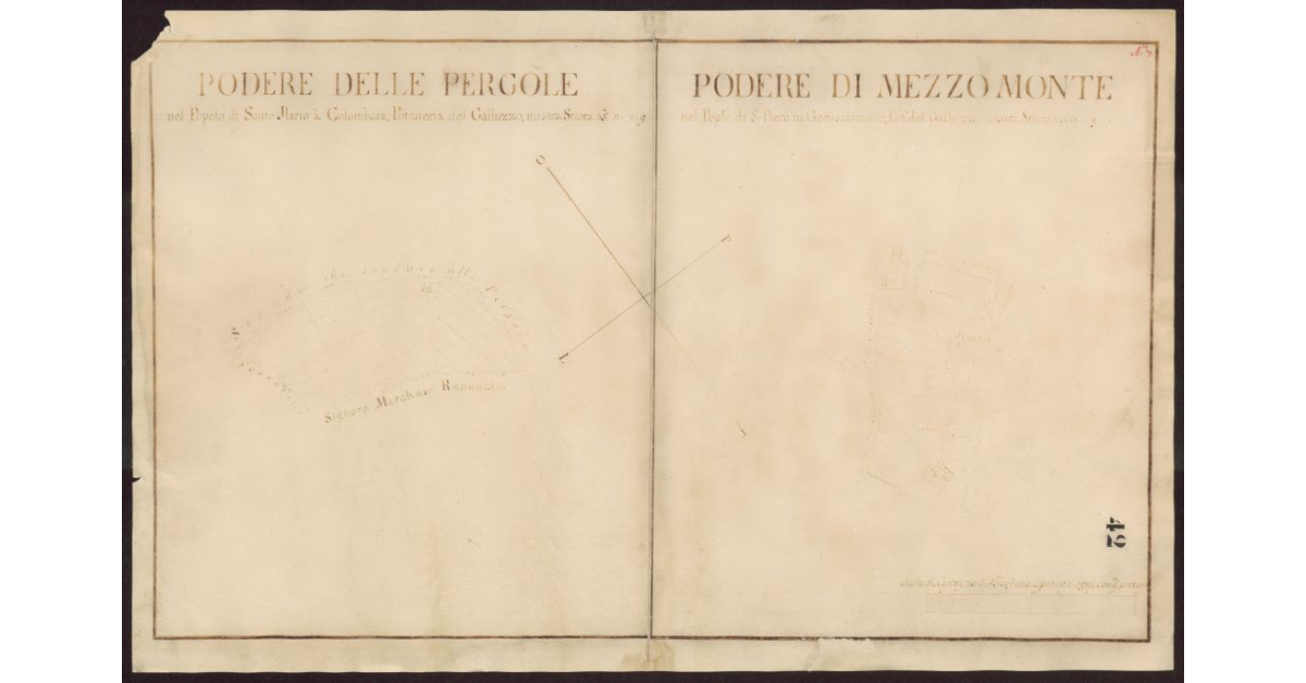 Podere delle Pergole [e] Podere di Mezzomonte