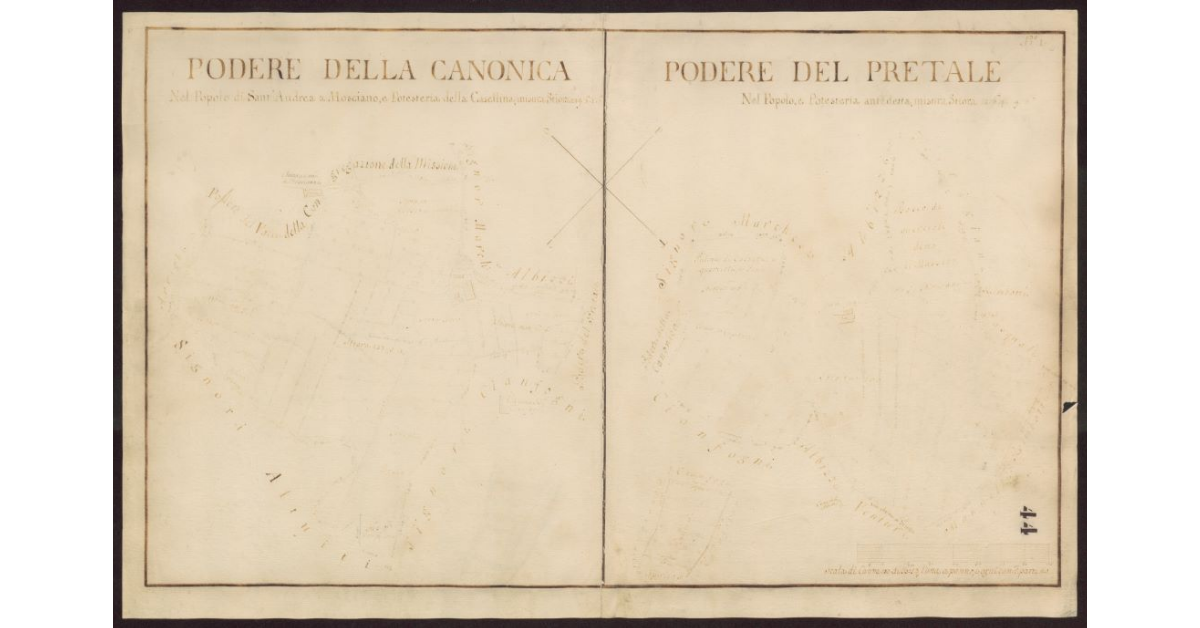 Podere della Canonica [e] Podere del Pretale