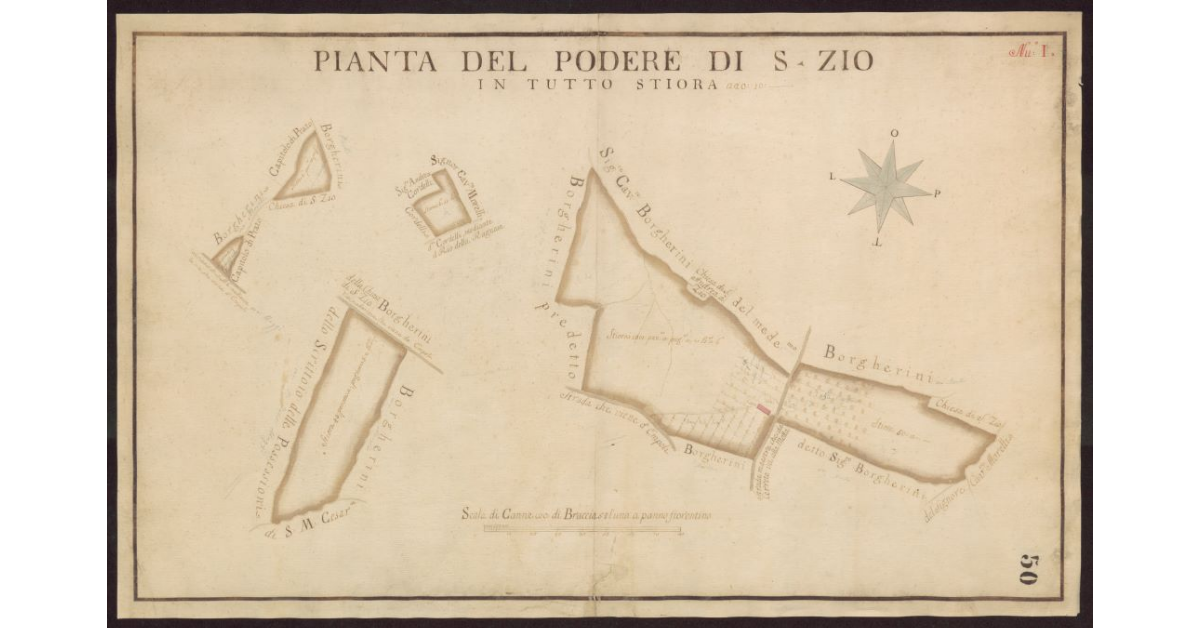 Pianta del Podere di S. Zio