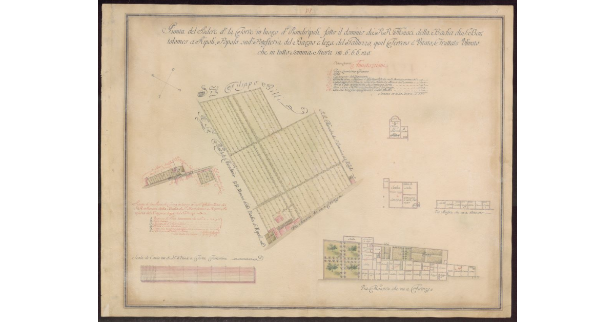 Pianta del Podere detto la Torre in luogo detto Pian di Ripoli