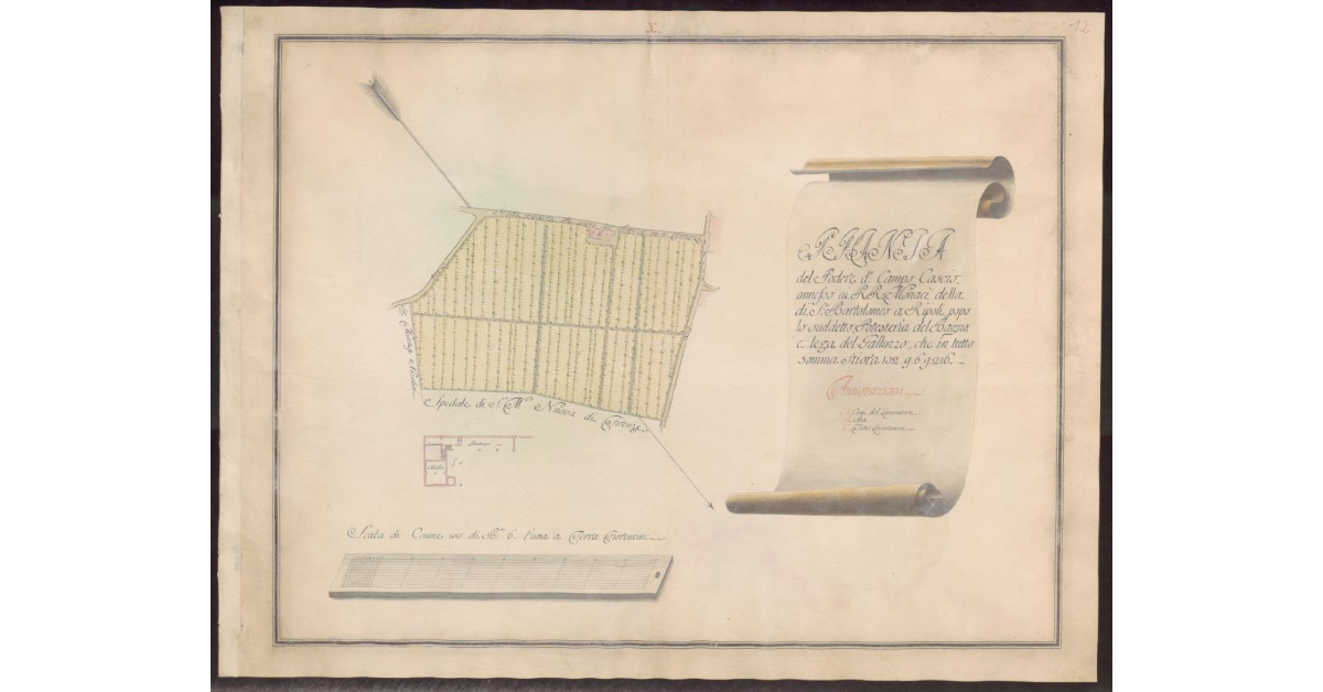 Pianta del Podere di Campo Cascio