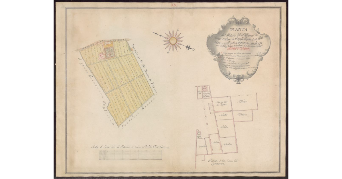 Pianta del Podere del S. Nuovo in luogo detto Pian di Ripoli