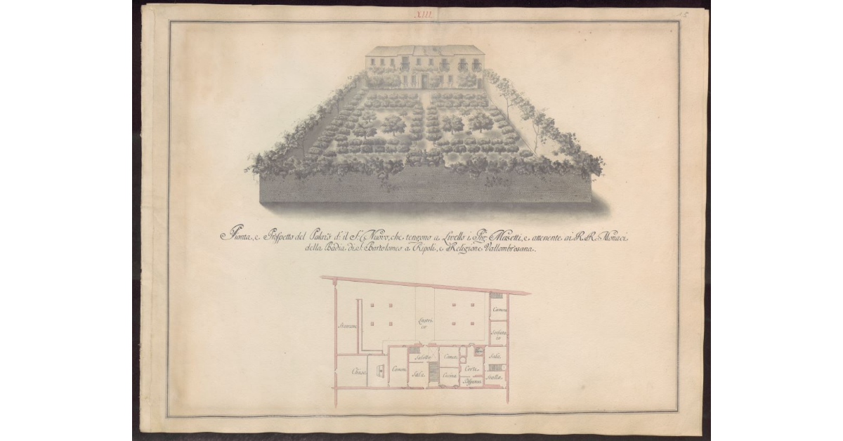Pianta e prospetto del Palazzo detto il S. Nuovo che tengono a livello i Sig. Masetti, e attenente ai R.R. Monaci della Badia di S. Bartolomeo a Ripoli