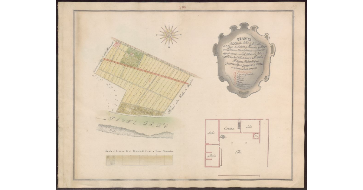 Pianta del Podere della Macine del Popolo di S. Salvi