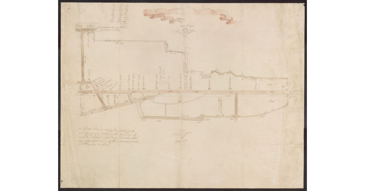 [Pianta di più strade lungo il fiume Sillaro, presso Castel Guelfo nel Bolognese]