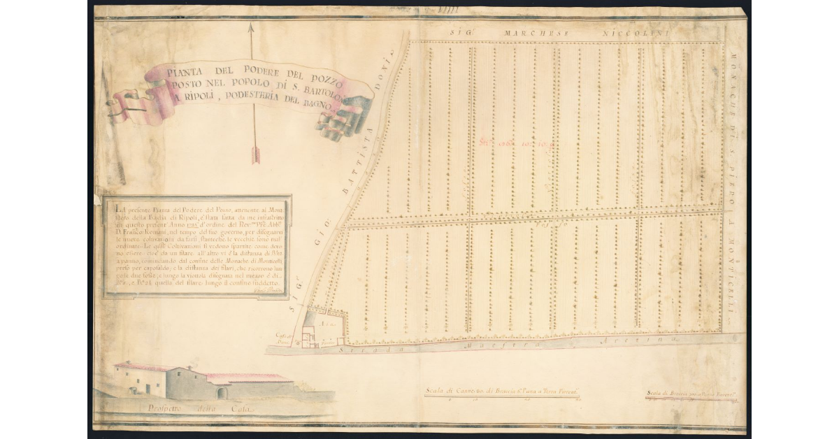 Pianta del Podere del Pozzo posto nel Popolo di S. Bartolomeo a Ripoli, Podesteria del Bagno