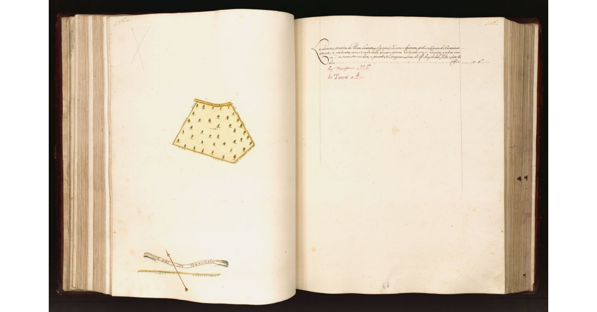 [Appezzamento di terreno in] Comune di Vinacciano [a Pistoia]