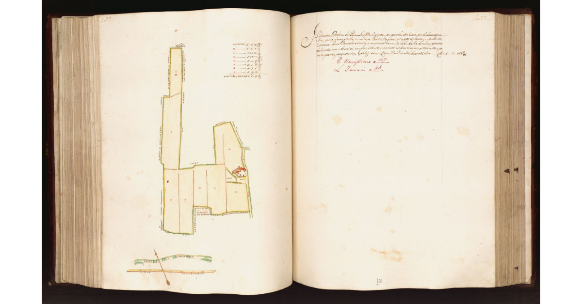 [Podere in] Comune di S. Pantaleo