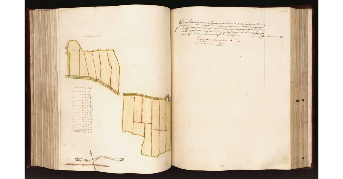 [Podere in] Comune di Collina