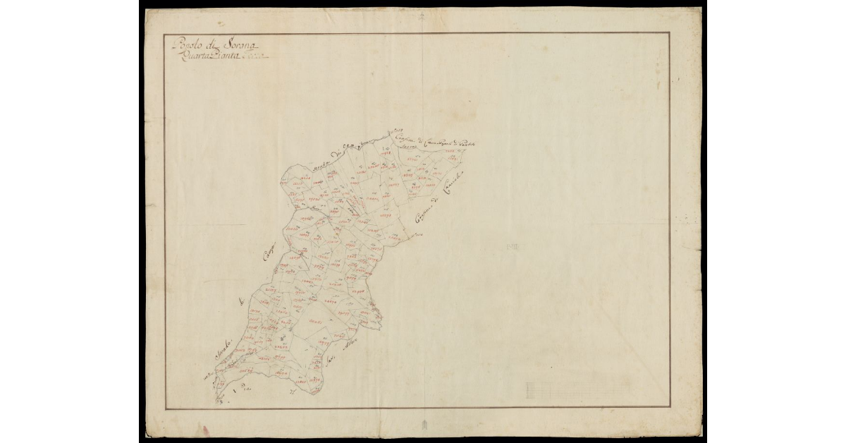 Popolo di Sorana quarta pianta