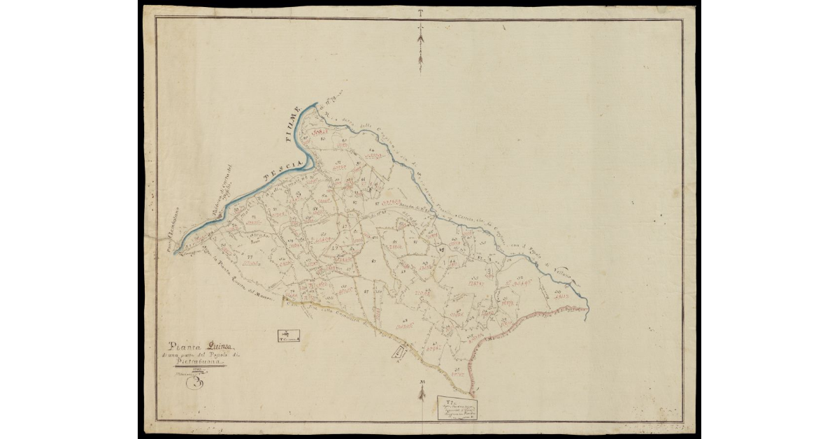 Pianta quinta di una parte del Popolo di Pietrabuona