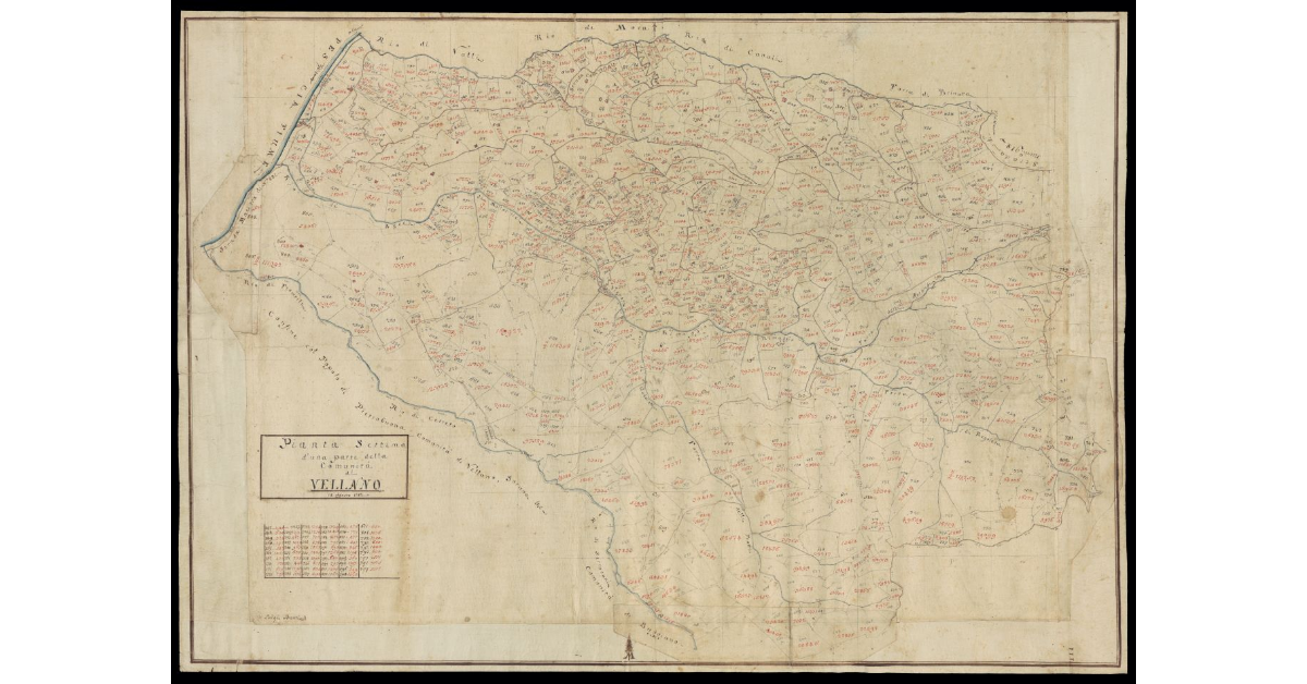 Pianta settima d'una parte della Comunità di Vellano
