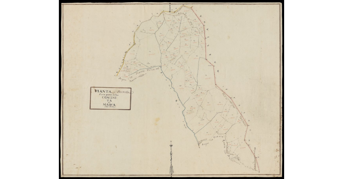 Pianta seconda d'una parte della Comunità di Massa