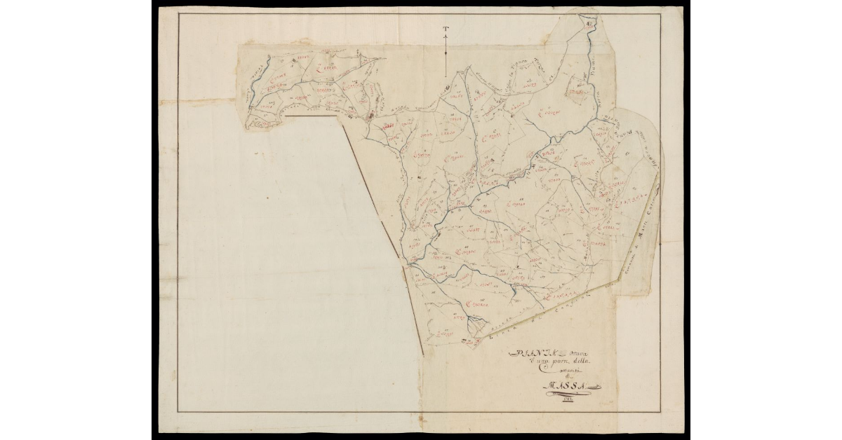 Pianta ottava d'una parte della Comunità di Massa
