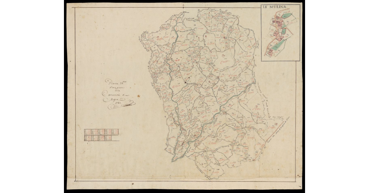Pianta 10ma d'una parte della Comunità di Massa