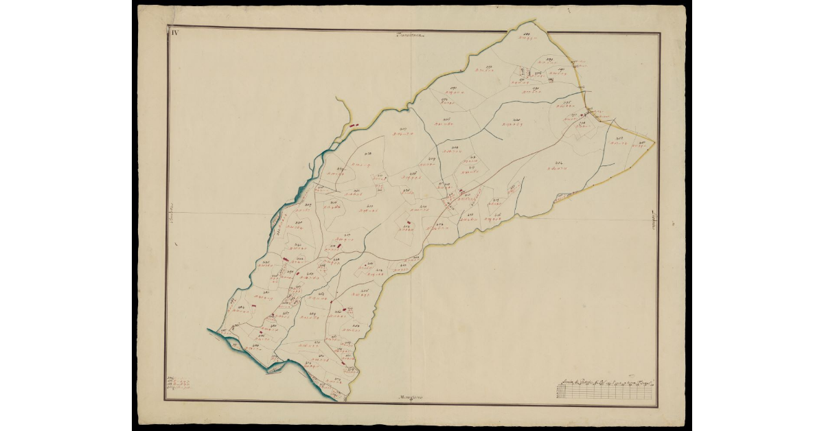 [Comunità di Montecatini pianta IV]