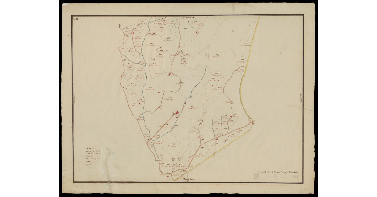[Comunità di Montecatini pianta VII]