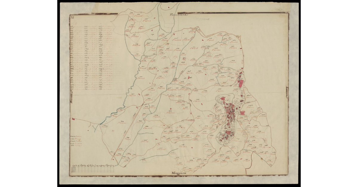 [Comunità di Montecatini pianta XI]