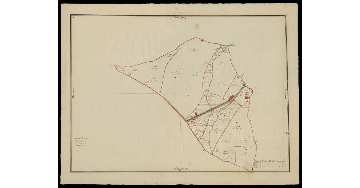 [Comunità di Montecatini pianta XII]