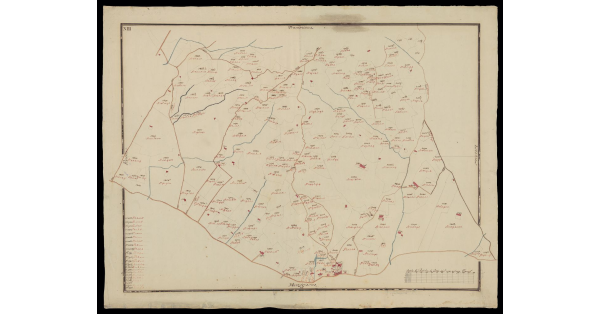 [Comunità di Montecatini pianta XIII]