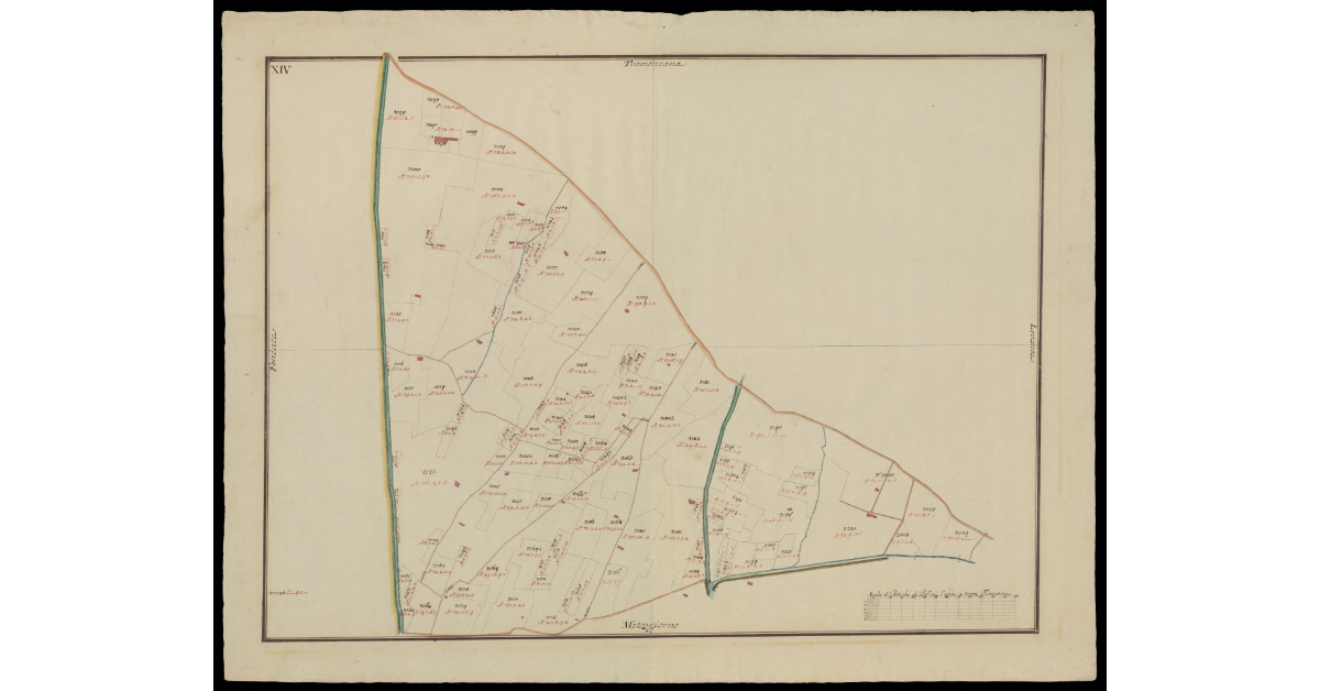 [Comunità di Montecatini pianta XIV]