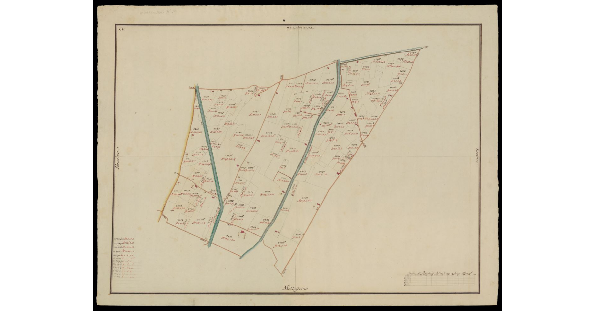 [Comunità di Montecatini pianta XV]