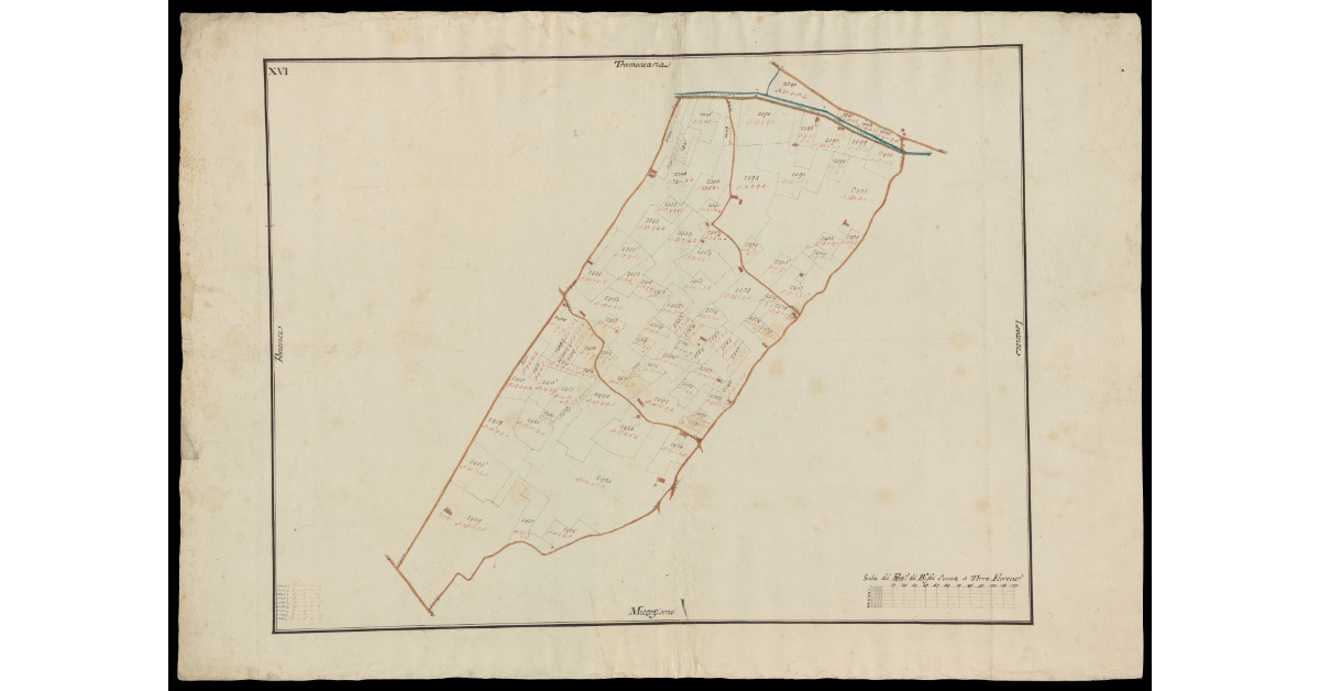 [Comunità di Montecatini pianta XVI]