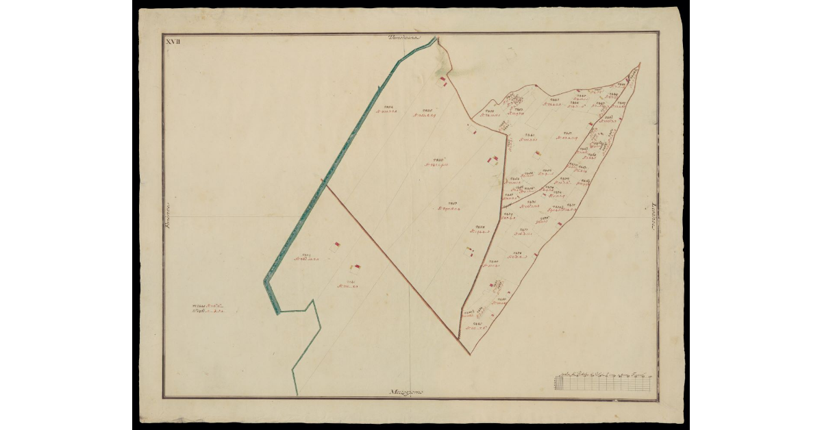[Comunità di Montecatini pianta XVII]