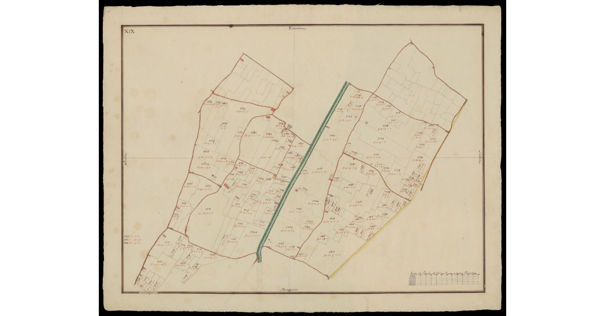 [Comunità di Montecatini pianta XIX]