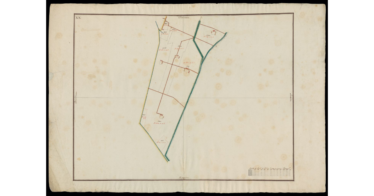 [Comunità di Montecatini pianta XX]