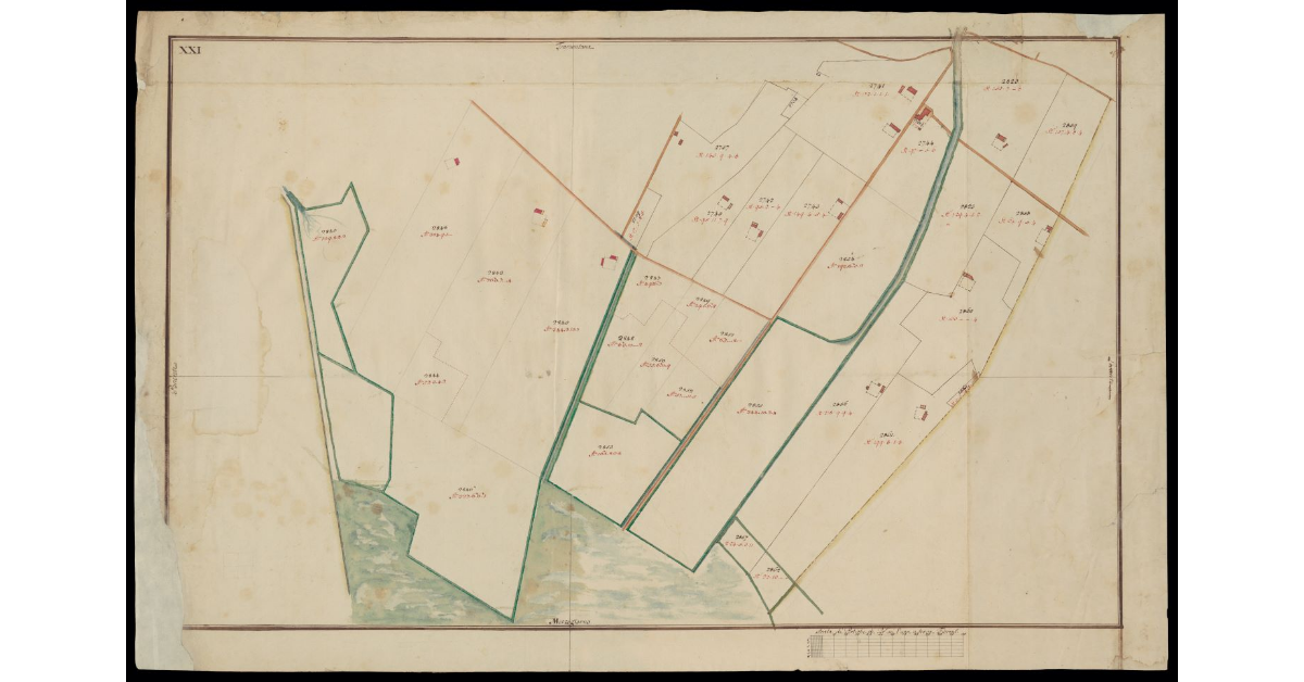 [Comunità di Montecatini pianta XXI]