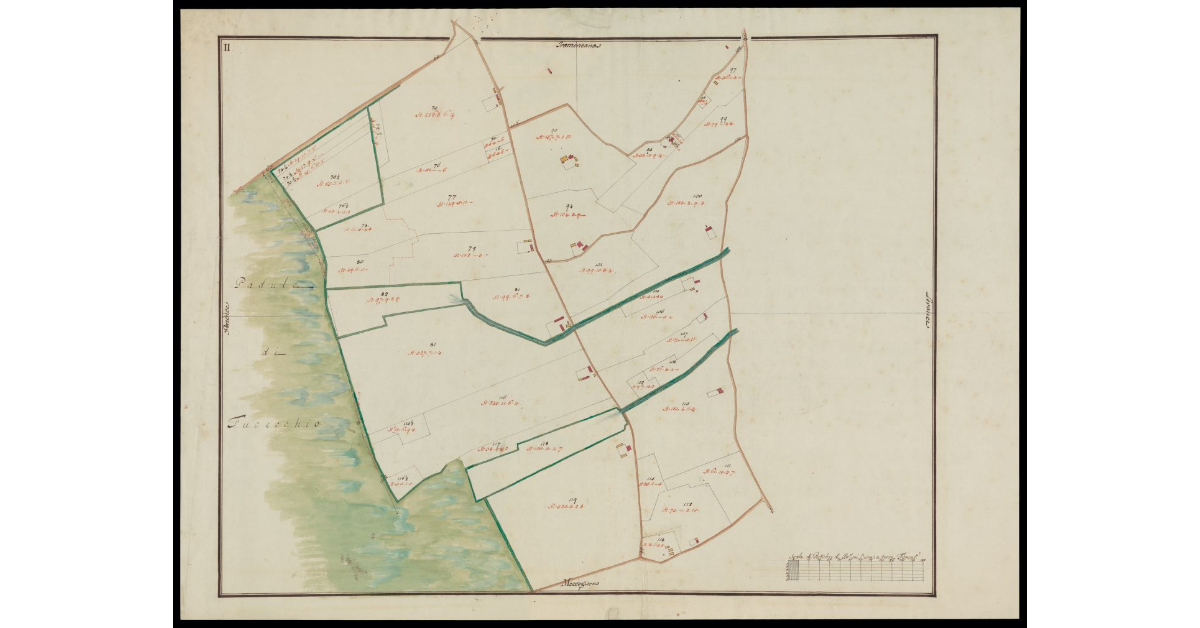 [Catasto di Montevettolini pianta II]