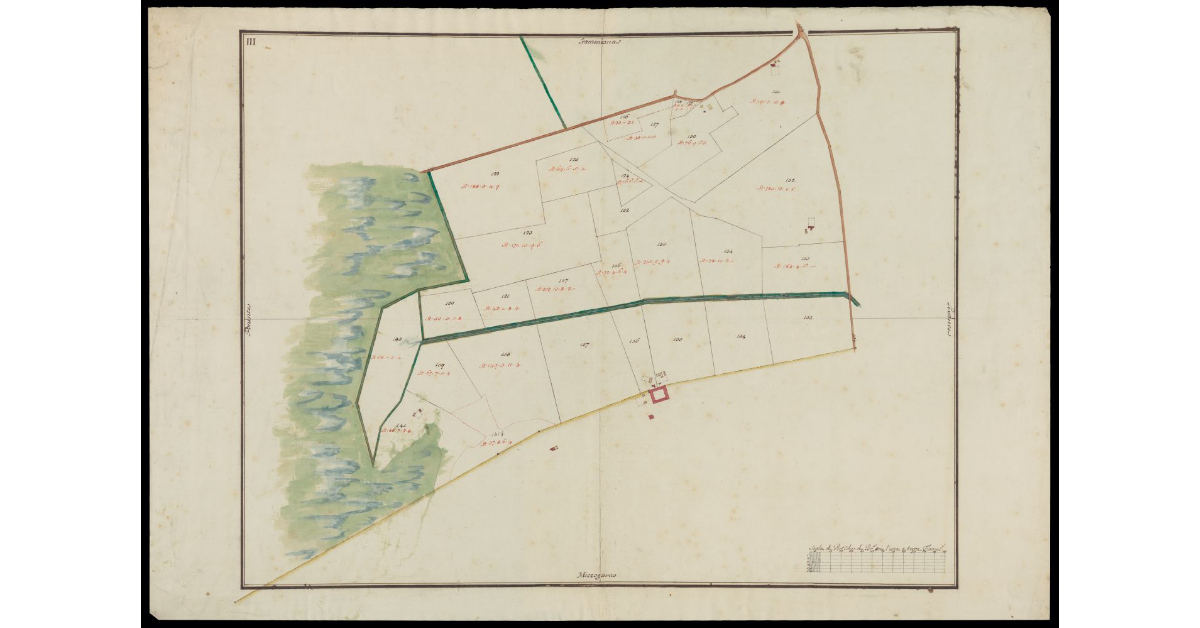 [Catasto di Montevettolini pianta III]